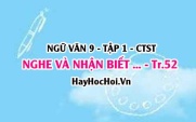 Soạn bài Nghe và nhận biết tính thuyết phục của một ý kiến trang 52 Ngữ Văn lớp 9 tập 1 Chân trời sáng tạo